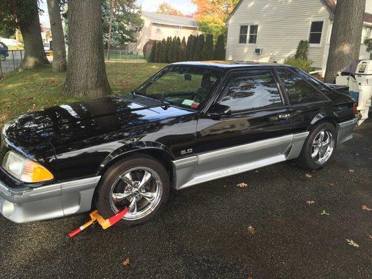 '91 Mustang GT 5sp Hatch