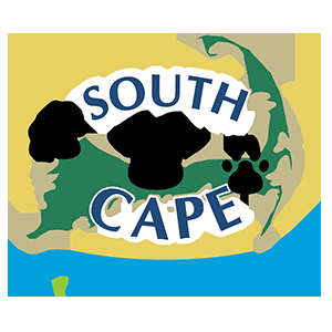 South Cape Veterinary Clinic