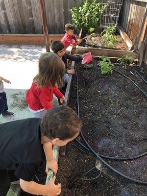 Watching our garden grow