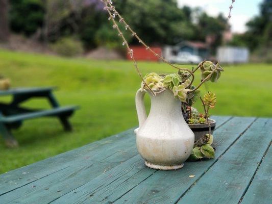 Loved the centerpieces on the picnic tables.