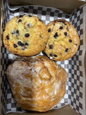 Fresh blueberries and the large apple fritter.