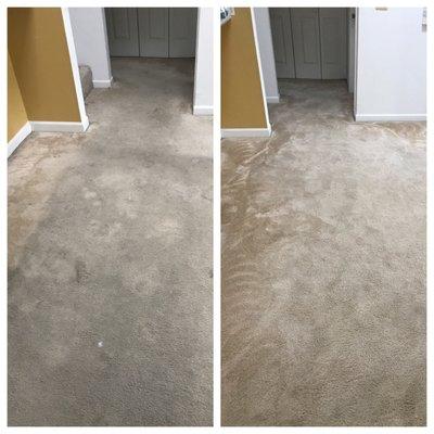 Pictures don't really do justice for how clean the carpet came!