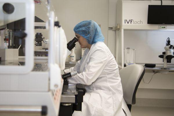 Our skilled embryologist, Katharine Kirsch, hard at work in the IVF lab.