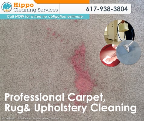 Hippo Cleaning Services