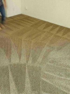 Carpet cleaning 310/735/7331