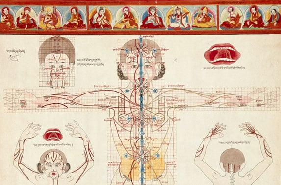 Channels in Tibetan Medicine