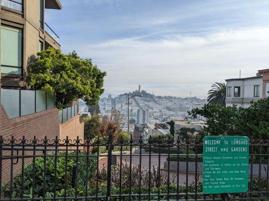 Top of Lombard street