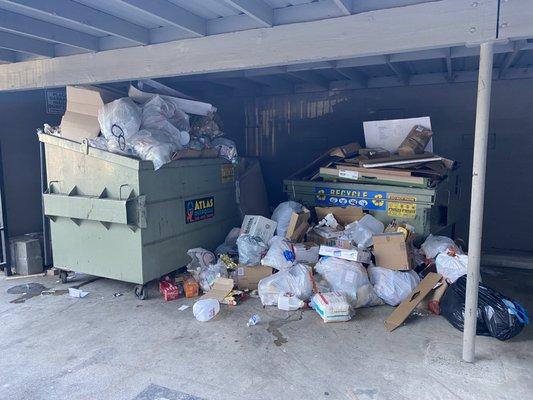 Overflowing dumpsters. on and off for 4 months