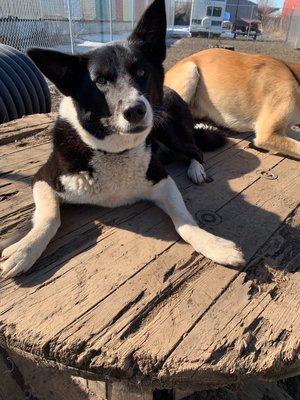 Brooks, she loves it outside, most do, we play inside and outside all day long.