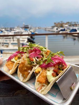 IPA battered Salmon Tacos