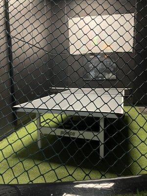 Ping Pong cage!