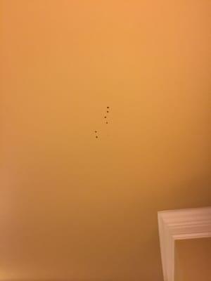 Blood spatter on the ceiling. What on earth went on here and why didn't they make sure to clean it up before we moved in?