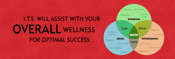 ITS is a wellness practice.