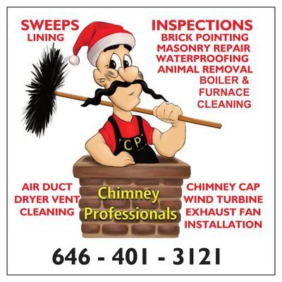 Chimney Professionals