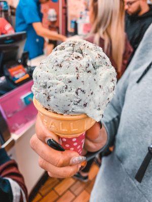 Mint Chocolate Chip 1 scoop in a regular cone