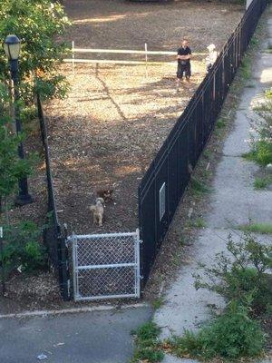 Top view of Tom's Dog Run little run