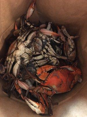 18 crabs for $20.99