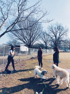 outdoor classes means dog friendly!