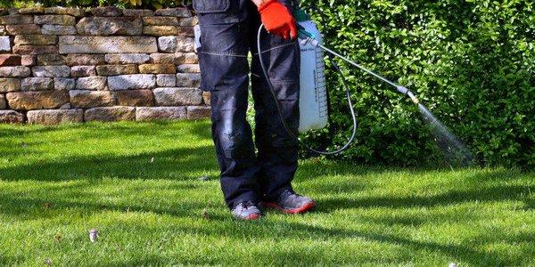 Keep the pests away with our turf and ornamental pest control services.