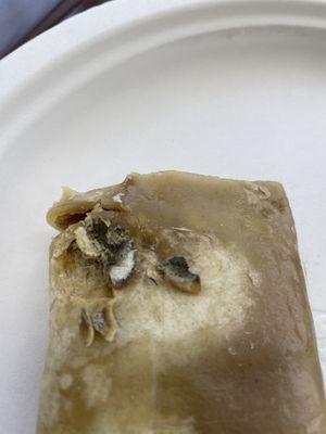 The same burrito with rotten mold on it.