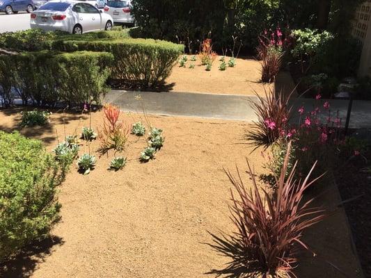 Decomposed granite landscaping & Drip irrigation.