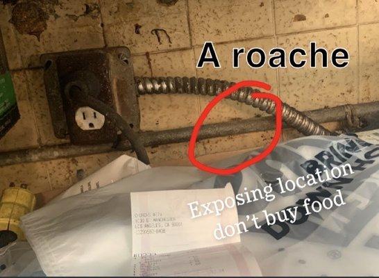 Roaches wondering around SEE the receipt showing the date and place and how it's taken inside store because I use work there