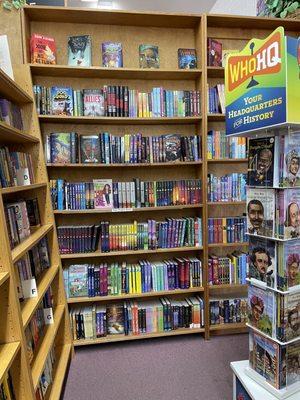 Bookshelves in interior