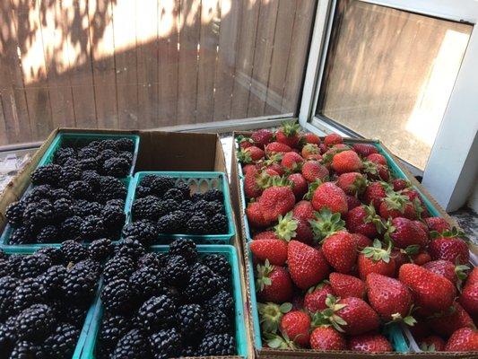 Blackberries & strawberries