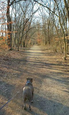 Great trail!