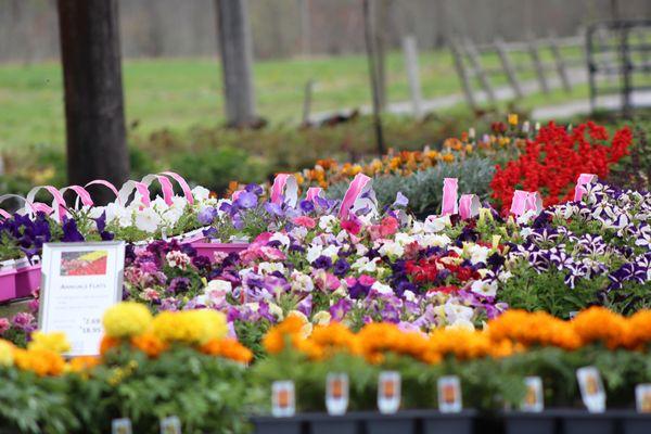 Farmside Gardens & Florist