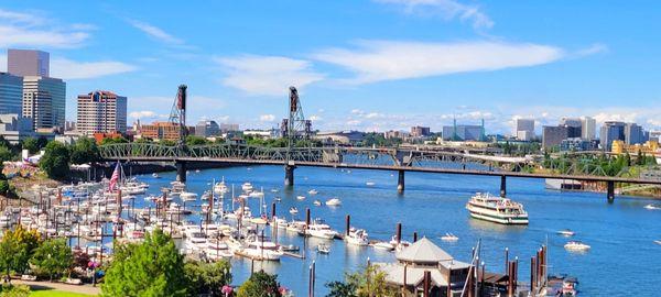 Marina filled with boats for Blues Festival