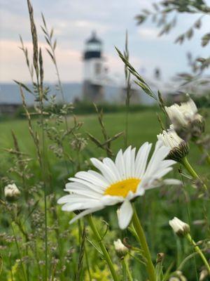 Marshall Point Lighthouse  -June 2021