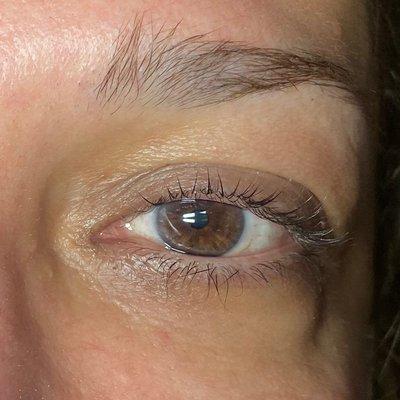 lash lift w/ Botox sealer / artist: KD