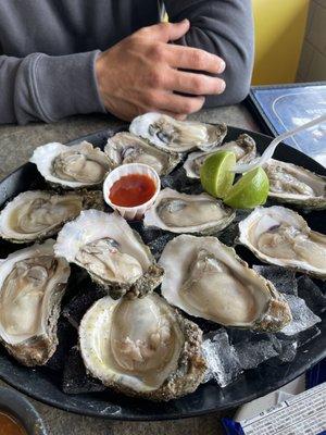 Oysters