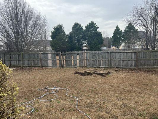 Pickets of fence in the backyard