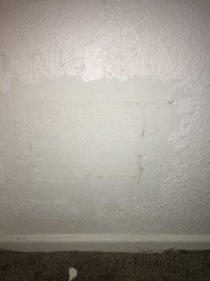 A recent patch done by my complex with new water staining which is causing the mold in the first place