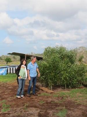 Enjoy Our Big Island Bliss Apothecary Massage that directly supports the Reforestation of Hawaiian Sandalwood. 3,000,000 trees and counting!