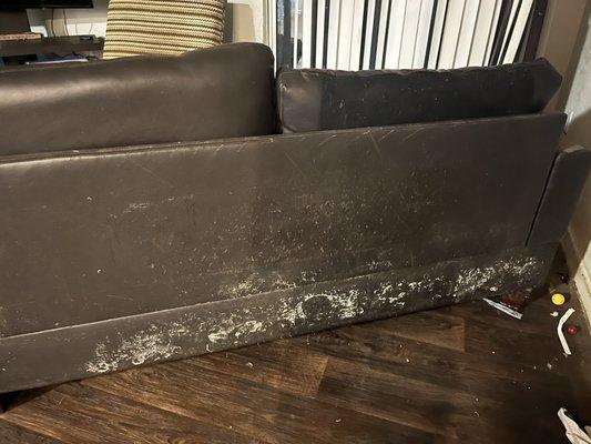 The moldy wall ruined my couch