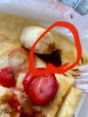 Dead roach on crepe INSIDE THE BOX.