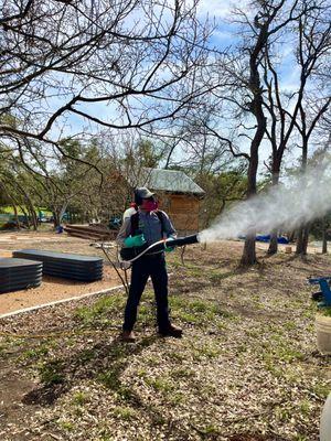 Mosquito Control Treatment