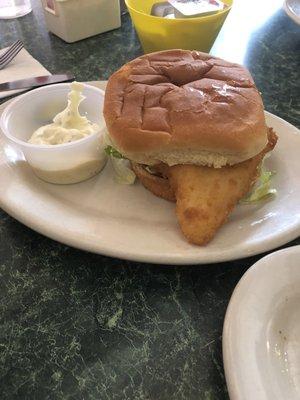 Fish sandwich. Just what my daughter wanted!