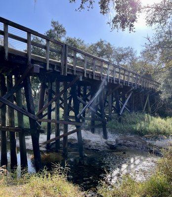 One of the trail bridges.