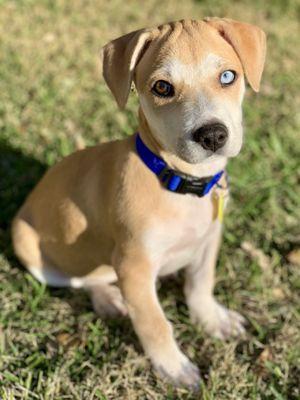 First day home from the Adoption Center