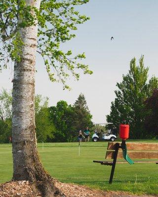 Alpine Golf Club Practice Green