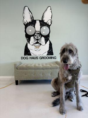 We offer grooming sessions on all breeds & sizes!