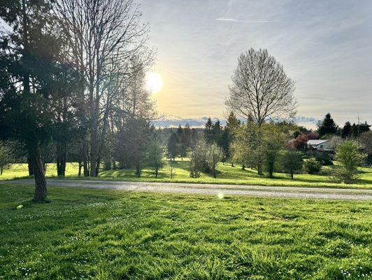 View from the playground!