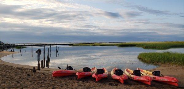 Coyote Kayaks