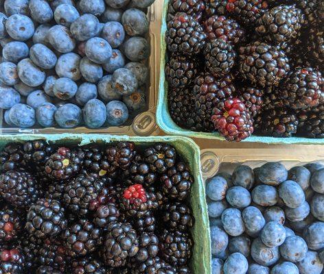 Local blueberries and blackberries from The Happy Berry in Six Mile!