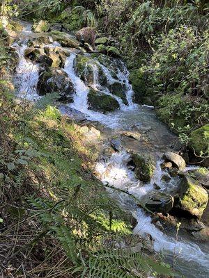 Mount Tamalpais State Park