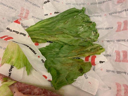 Rotten brown lettuce used in place of bread for my Un-wich